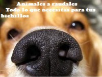 /album/animales-a-raudales/imageslijk-jpg/