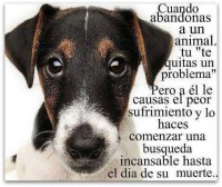 /album/animales-a-raudales/a299792-10151535754962008-834657698-n-jpg/