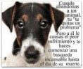 /album/fotogaleria/a299792-10151535754962008-834657698-n-jpg1/