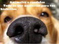 /album/fotogaleria/imageslijk-jpg1/